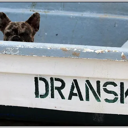 Exklusiver Direkt Am * Dranske