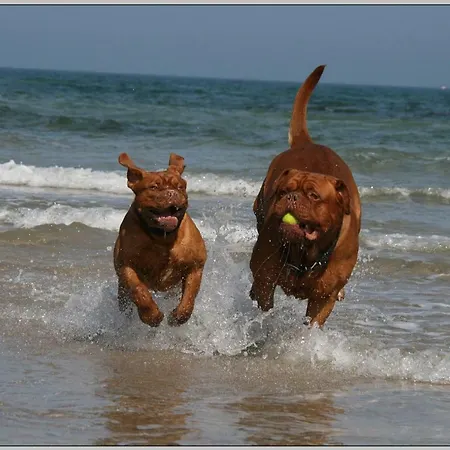 Exklusiver Direkt Am Feriehus *